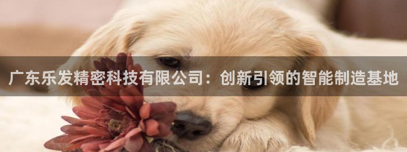 耀世娱乐(com.youad.authst)：广东乐发精密科技有限公司：创新引领的智能制造基地