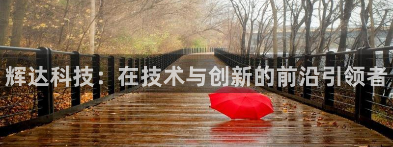 壹号电子娱乐app下载最新版：辉达科技：在技术与创新的前沿引领者