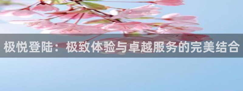 耀世娱乐下载：极悦登陆：极致体验与卓越服务的完美结合