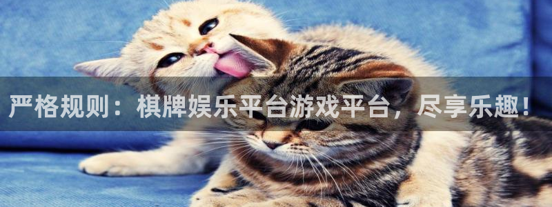 壹号注册入口app下载：严格规则：棋牌娱乐平台游戏平台，尽享乐趣！