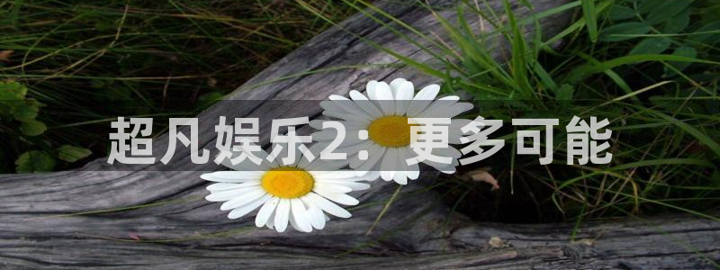 耀世娱乐app下载安装：超凡娱乐2：更多可能