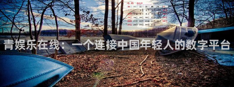 壹号电子娱乐app下载最新版：青娱乐在线：一个连接中国年轻人的数字平台