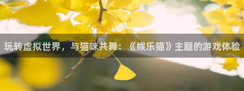 耀世娱乐-ng大舞台,有梦你就来：玩转虚拟世界，与猫咪共舞：《娱乐猫》主题的游戏体验