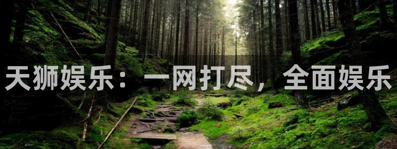 壹号电子娱乐app：天狮娱乐：一网打尽，全面娱乐