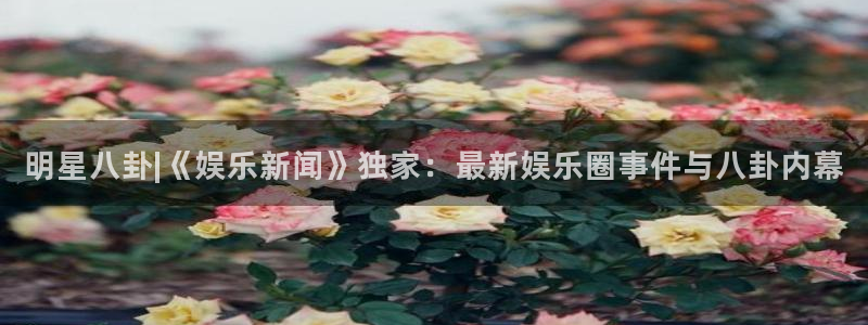 壹号app官方登录入口下载：明星八卦|《娱乐新闻》独家：最新娱乐圈事件与八卦内幕