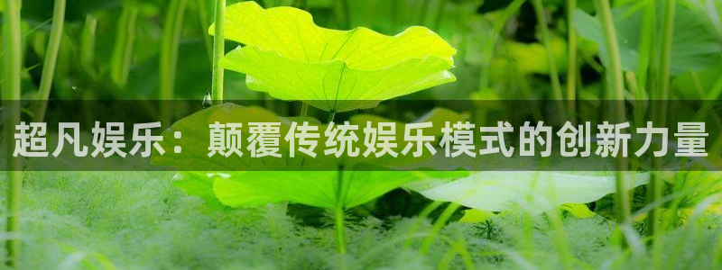 耀世娱乐官方网站下载：超凡娱乐：颠覆传统娱乐模式的创新力量