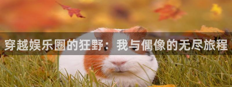壹号app官方登录入口下载