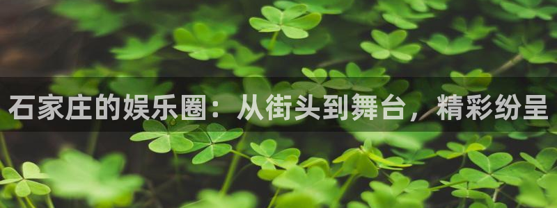 壹号电子娱乐app下载官网