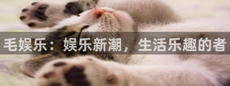耀世娱乐-ng大舞台,有梦你就来