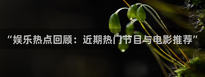 壹号平台注册链接官网下载