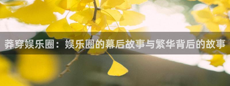 壹号平台下载安装