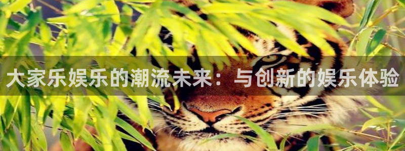 耀世娱乐app下载官网